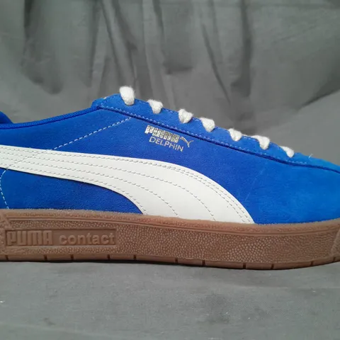 BOXED PAIR OF PUMA DOLPHIN SHOES IN ROYAL SAPPHIRE UK SIZE 7