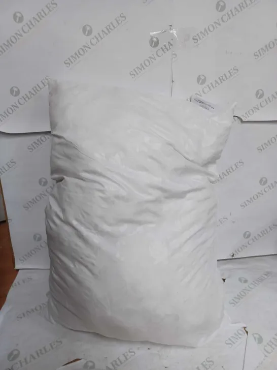 SET OF 2 WHITE PILLOWS WITH FEATHERS