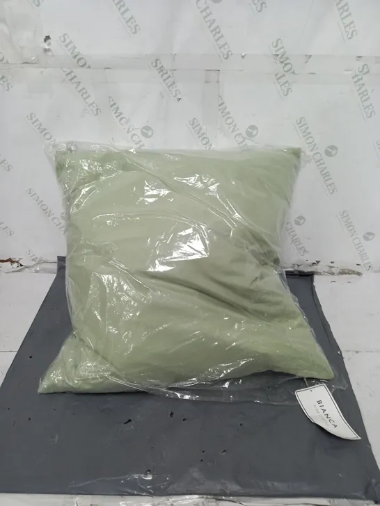 BIANCA GREEN FINE LINEN SQUARE PILLOW 50 BY 50 