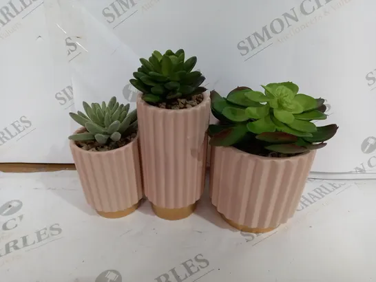 3 FAUX CACTUS PLANTS OF VARYING SIZES