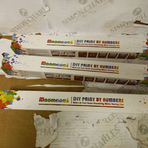 SET OF 3 BOXED MAOMAOMI DIY PAINT BY NUMBERS 