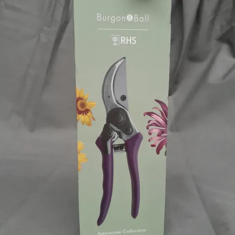 BOXED BURGON & BALL RHS ASTERACEAE COLLECTION SECATEURS 