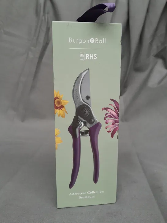 BOXED BURGON & BALL RHS ASTERACEAE COLLECTION SECATEURS 