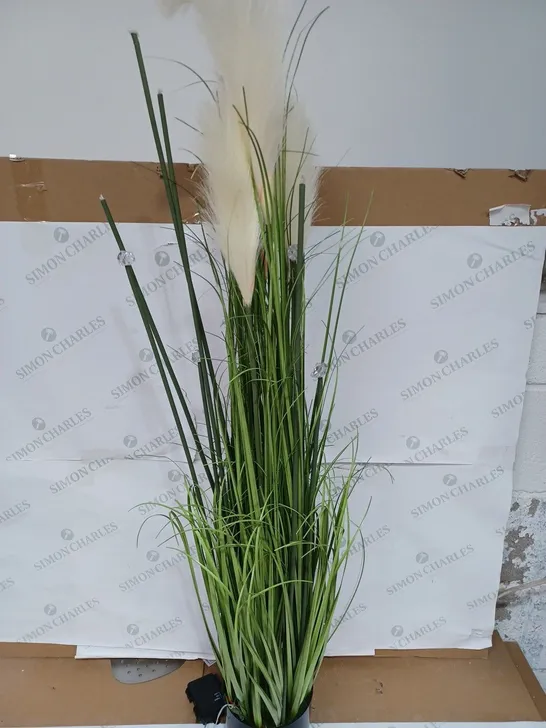 HOME2GARDEN LED PAMPAS GRASS