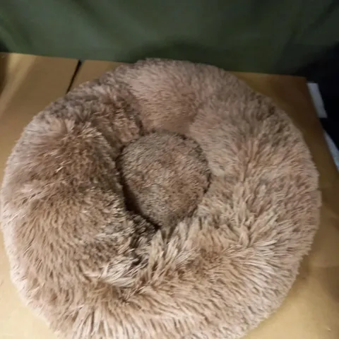 BROWN DOG BED 