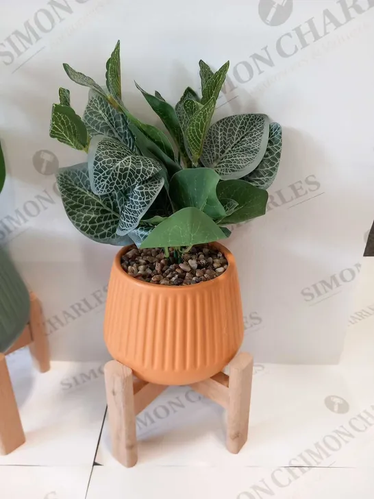 BRAND NEW BUNDLEBERRY BY AMANDA HOLDEN SET OF 3 PLANTERS ON WOODEN STANDS WITH FAUX PLANTS