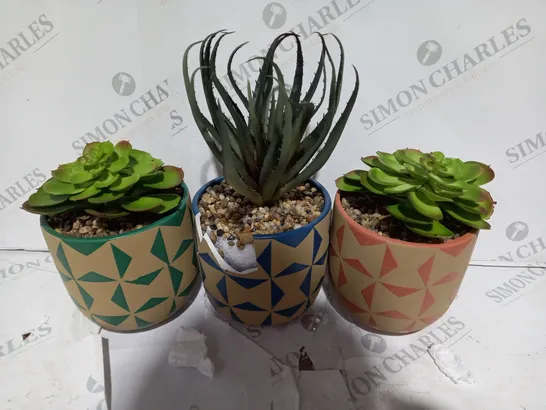 BOXED SET OF 3 FAUX SUCCULENT IN CERAMIC MOSAIC POTS 