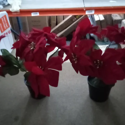 BOXED BOUQUET GIFT POINSETTIA FLORAL ARRANGEMENT IN POT 