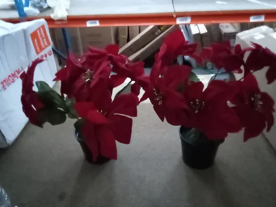 BOXED BOUQUET GIFT POINSETTIA FLORAL ARRANGEMENT IN POT 