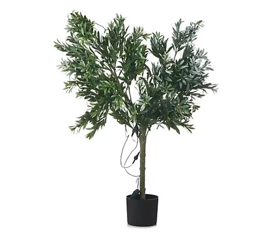 BOXED MY GARDEN STORIES BUSHY LED OLIVE TREE