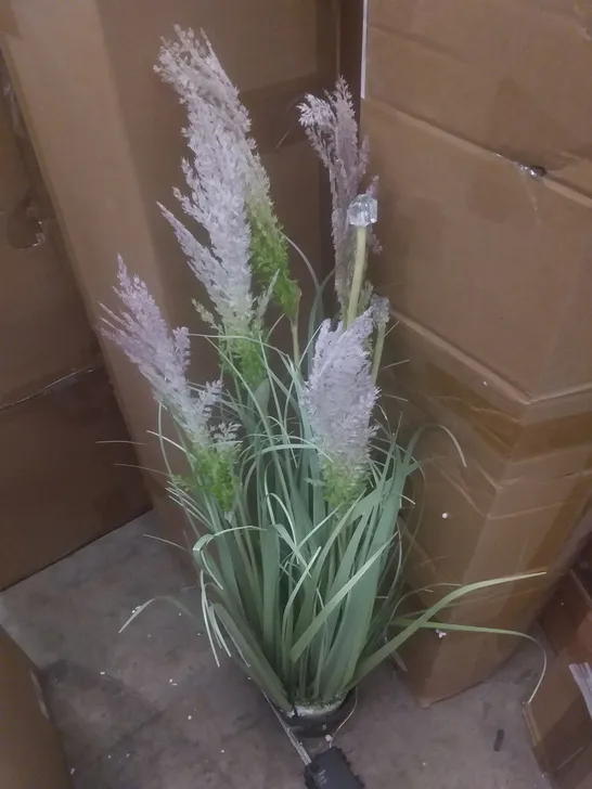 BOXED LED PAMPAS GRASS