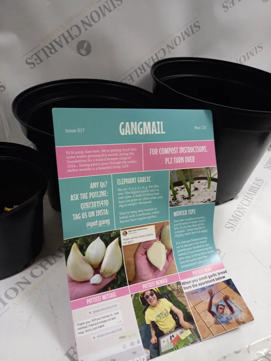 BOXED 3 X PLANT POT SET WITH COMPOST 