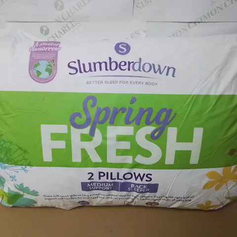 SLUMBERDOWN SPRING FRESH PILLOW PAIR