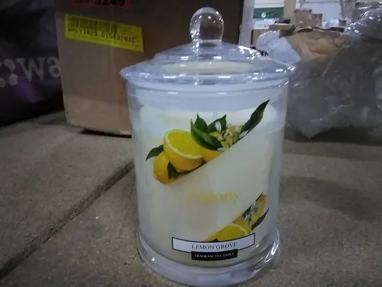 BOXED COLONY LEMON GROVE SCENTED JAR CANDLE 