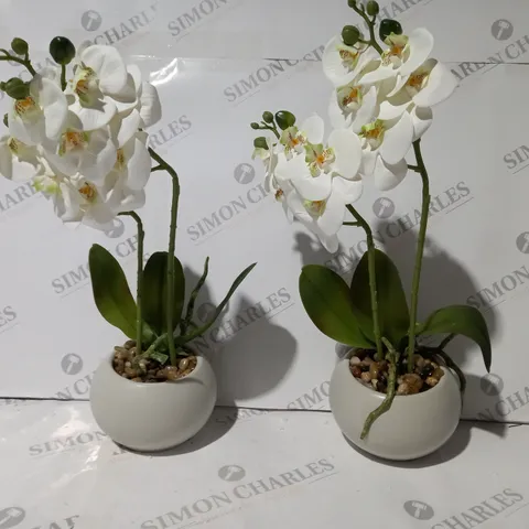 BOXED HOME REFLECTIONS SET OF TWO FAUX ORCHIDS WHITE
