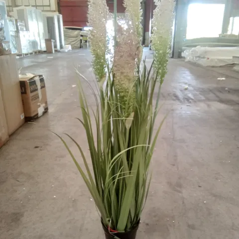 BOXED LED PAMPAS GRASS