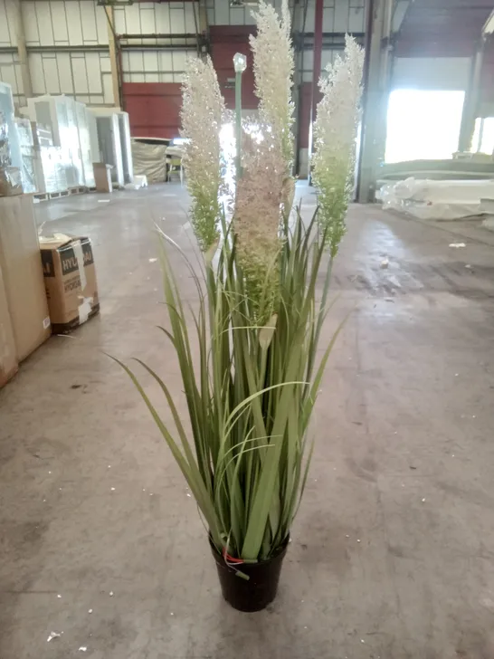 BOXED LED PAMPAS GRASS