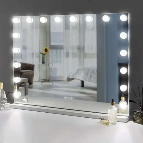 BOXED FENCHILIN MAGNIFYING LIGHTED METAL FRAME MAKEUP MIRROR