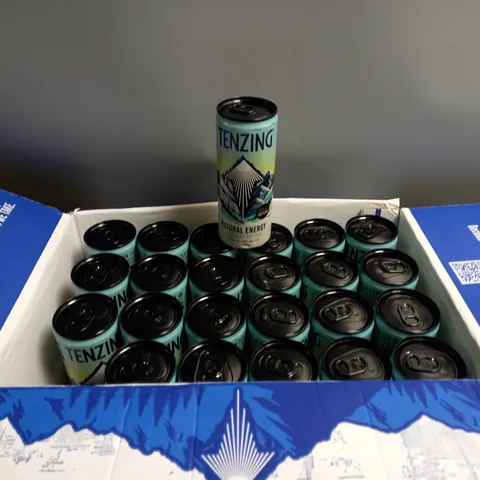 LOT OF 24 CANS OF TENZING ENERGY DRINKS ORIGINAL FLAVOUR 250ML CANS
