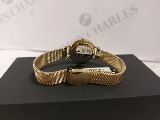 BOXED DANIEL WELLINGTON PETITE EVERGOLD WATCH WITH BRACELET STYLE STRAP