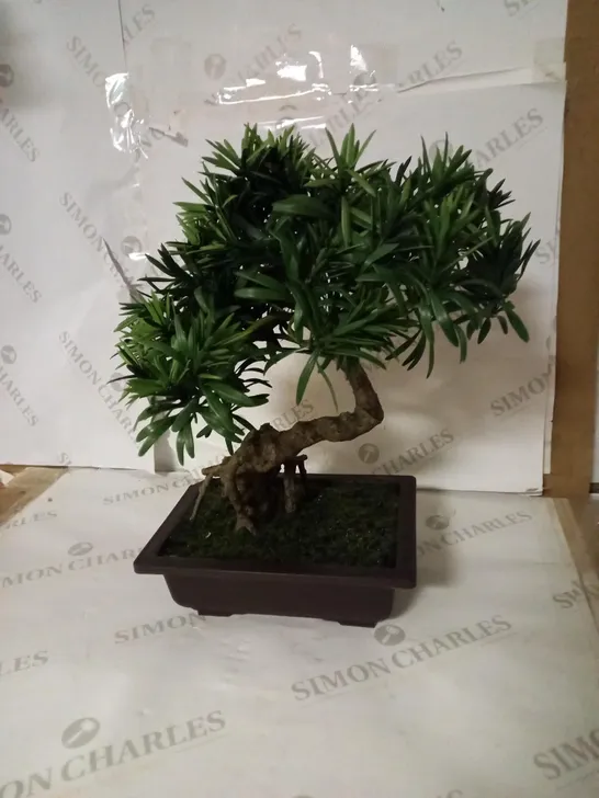 LEAF ARTIFICIAL TREE, PODOCARPUS BONSAI, 40CM