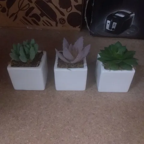 3 ARTIFICIAL SUCCULENT PLANT IN POT