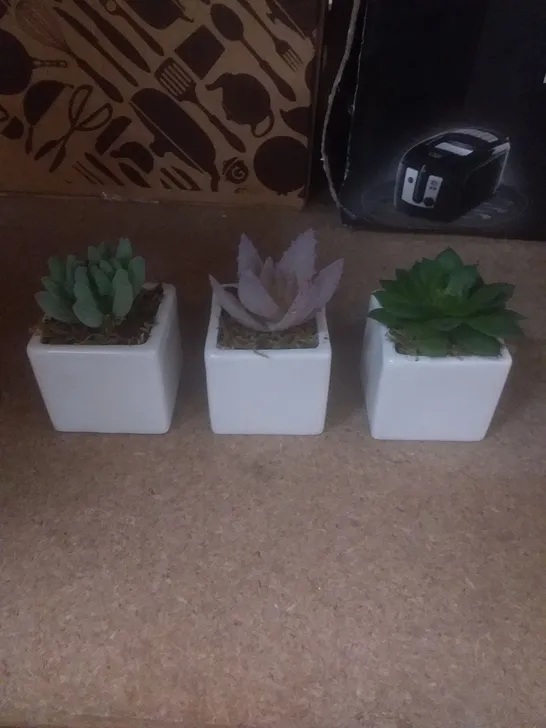 3 ARTIFICIAL SUCCULENT PLANT IN POT