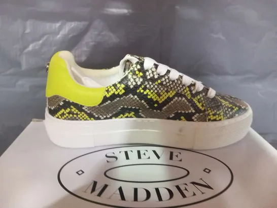 BOXED STEVE MADDEN MERGER SYNTHETIC SNEAKERS SIZE 36