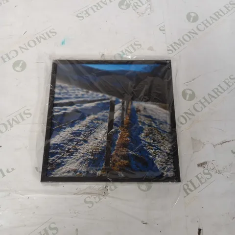 SMALL BLACK BORDERED SNOW PHOTO 