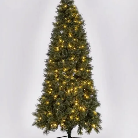BOXED PRE-LIT SLIM CASHMERE TIPS 6.5FT CHRISTMAS TREE (1 BOX)
