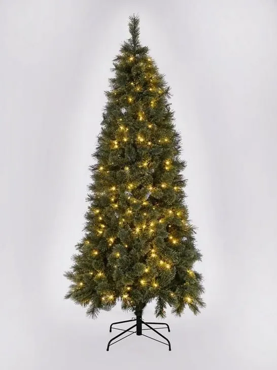 BOXED PRE-LIT SLIM CASHMERE TIPS 6.5FT CHRISTMAS TREE (1 BOX) RRP £159.99