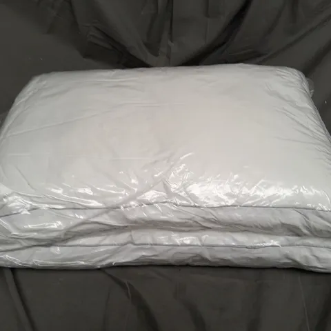 SEALED 2 LUXURY BOX PILLOWS