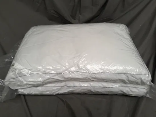 SEALED 2 LUXURY BOX PILLOWS