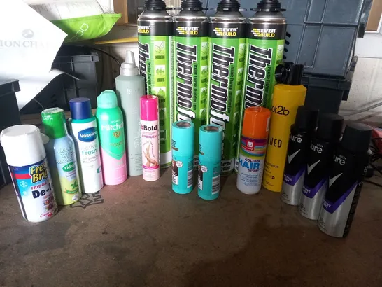 APPROXIMATELY 17 ASSORTED AEROSOLS TO INCLUDE; EVERBUILD, GOT2B, MITCHUM AND VASELINE