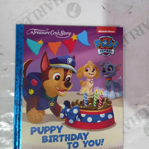 LOT OF APPROXIMATELY 10 TREASURE COVE STORY PAW PATROL PUPPY BIRTHDAY TO YOU BOOKS