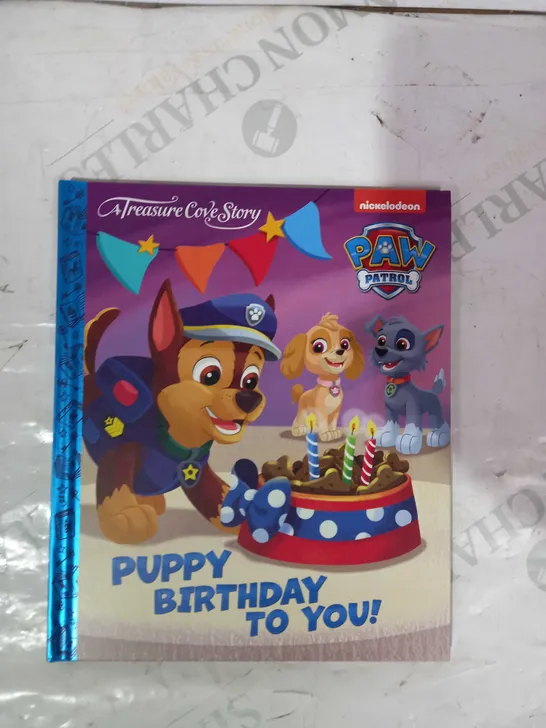 LOT OF APPROXIMATELY 10 TREASURE COVE STORY PAW PATROL PUPPY BIRTHDAY TO YOU BOOKS