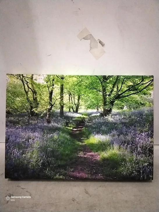 PATH THROUGH THE BLUEBELL FORREST CANVAS 