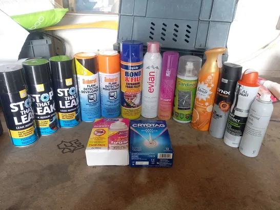 APPROXIMATELY 14 ASSORTED AEROSOL SPRAYS TO INCLUDE; RAPIDE, 151, EVIAN, LYNX AND ROOM MIST