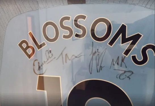 FRAMED AND MOUNTED MANCHESTER CITY SHIRT SIGNED BY STOCKPORT BASED BAND BLOSSOMS- ALL PROCEEDS WILL GO DIRECTLY TO CHARITY 