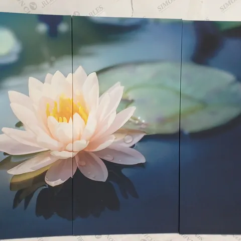 PIXXPRINT A BEAUTIFUL PINK LOTUS BLOSSOM IN A POND 3 PIECES PHOTOGRAPHIC PRINT SET ON CANVAS