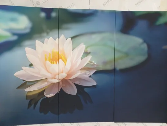 PIXXPRINT A BEAUTIFUL PINK LOTUS BLOSSOM IN A POND 3 PIECES PHOTOGRAPHIC PRINT SET ON CANVAS