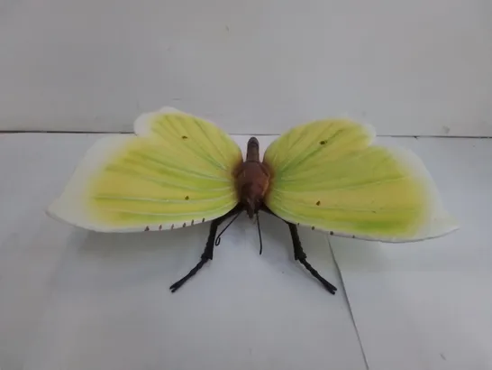 BOXED BUTTERFLY WALL DECORATION