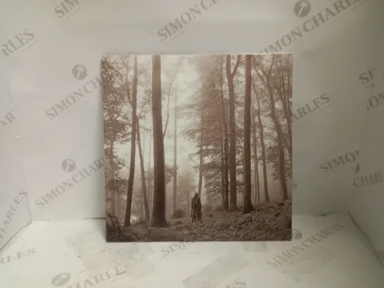 TAYLOR SWIFT FOLKLORE 2LP DELUXE EDITION "IN THE TREES" VINYL ALBUM