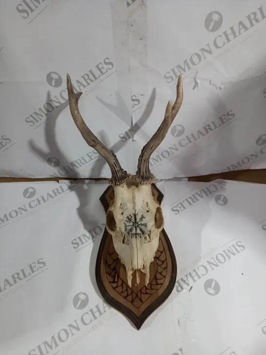 DECORATIVE MOUNTABLE ANIMAL SKULL 