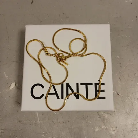 CAINTE GOLD ROPE CHAIN NECKLACE 