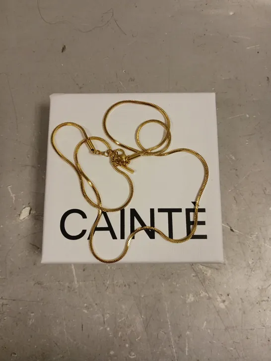 CAINTE GOLD ROPE CHAIN NECKLACE 