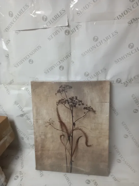 DRIED GRASSES CANVAS  RRP £42