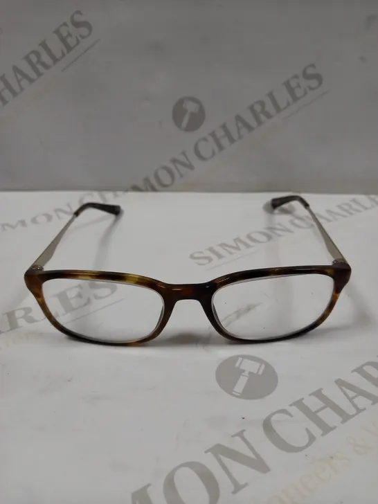 AMERICAN FRESHMAN CORY TORTOISE SHELL EFFECT EYEGLASSES  