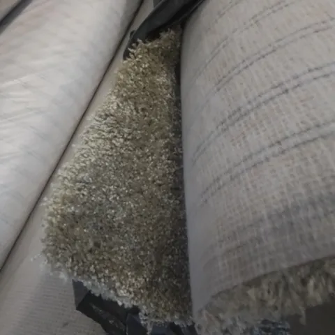 ROLL OF QUALITY SATINO ROYALE CARPET // SIZE: APPROXIMATELY 3.3 X 5M 