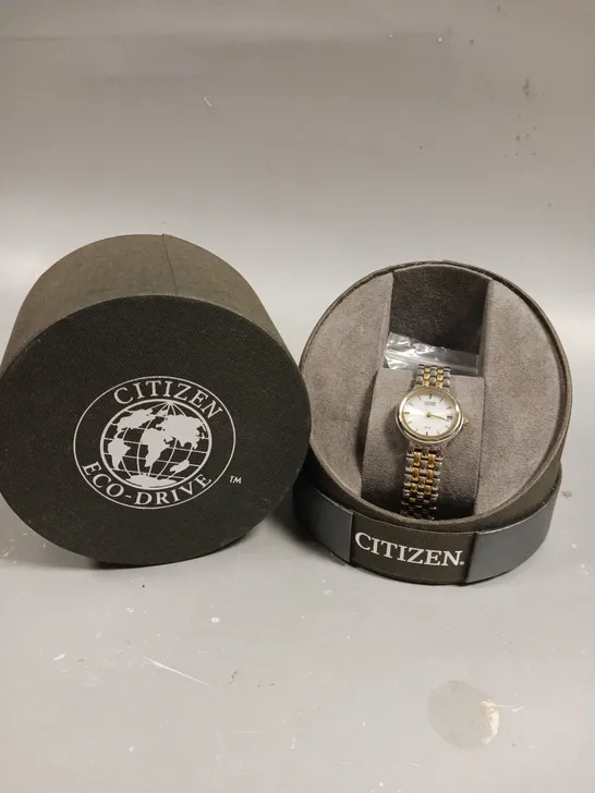 CITIZEN ECO-DRIVE LADIES WHITE DIAL WATCH 